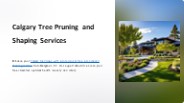 Calgary Tree Pruning and Shaping Services - Evergreen Ltd