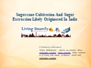 Sugarcane Cultivation And Sugar Extraction Likely Originated In India