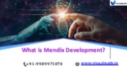 Mendix Online Training | Mendix Training