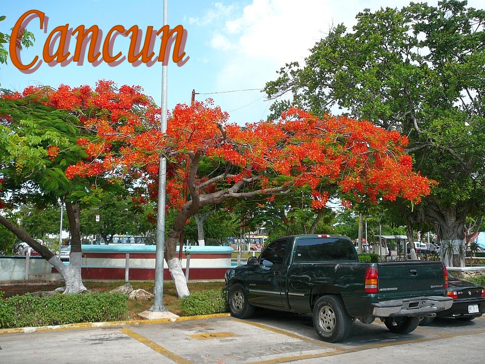 Mexico Cancun 2, Yucatan