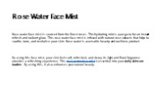 Know the Best Uses of Rose Water Face Mist