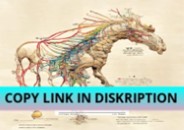 PDF DOWNLOAD Veterinary Composition Notebook: College Ruled Paper Note