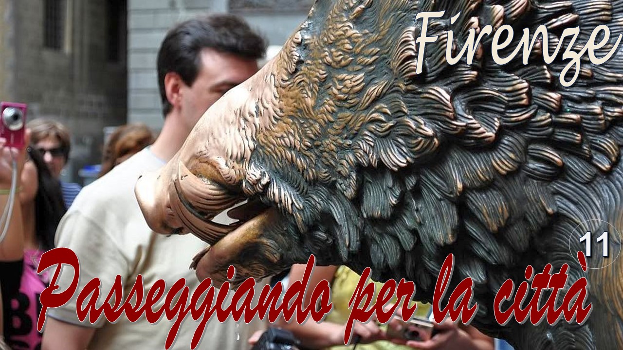 Firenze Passeggiando per la citta 11