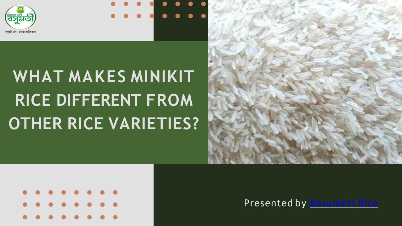 What Makes Minikit Rice Different from Other Rice Varieties?