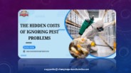 The Hidden Costs of Ignoring Pest Problems