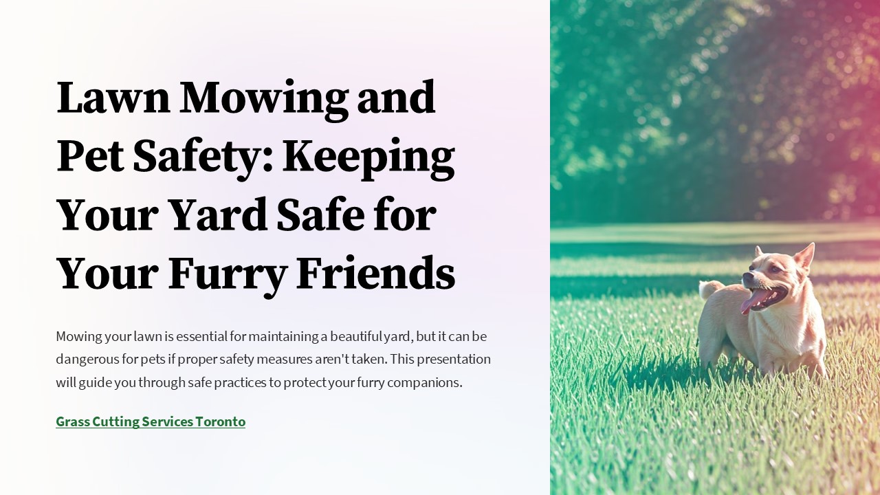View of Lawn Mowing and Pet Safety Keeping Your Yard Safe for Your Furry ...