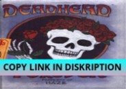 DOWNLOAD PDF Deadhead Forever