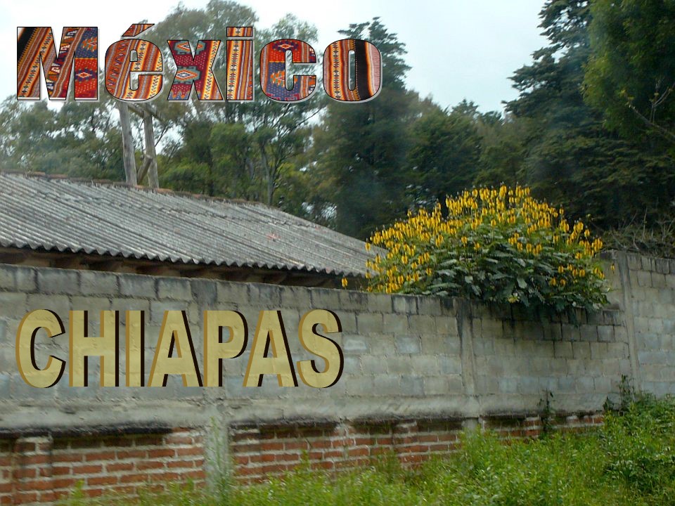 Mexico Chiapas 1 (San Juan Chamula, San Lorenzo Zinacantan)