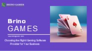 Leading iGaming software providers in 2024-2025