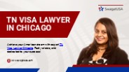 TN Visa Assistance for Your Immigration Needs!