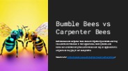 Bumble Bee vs Carpenter Bee