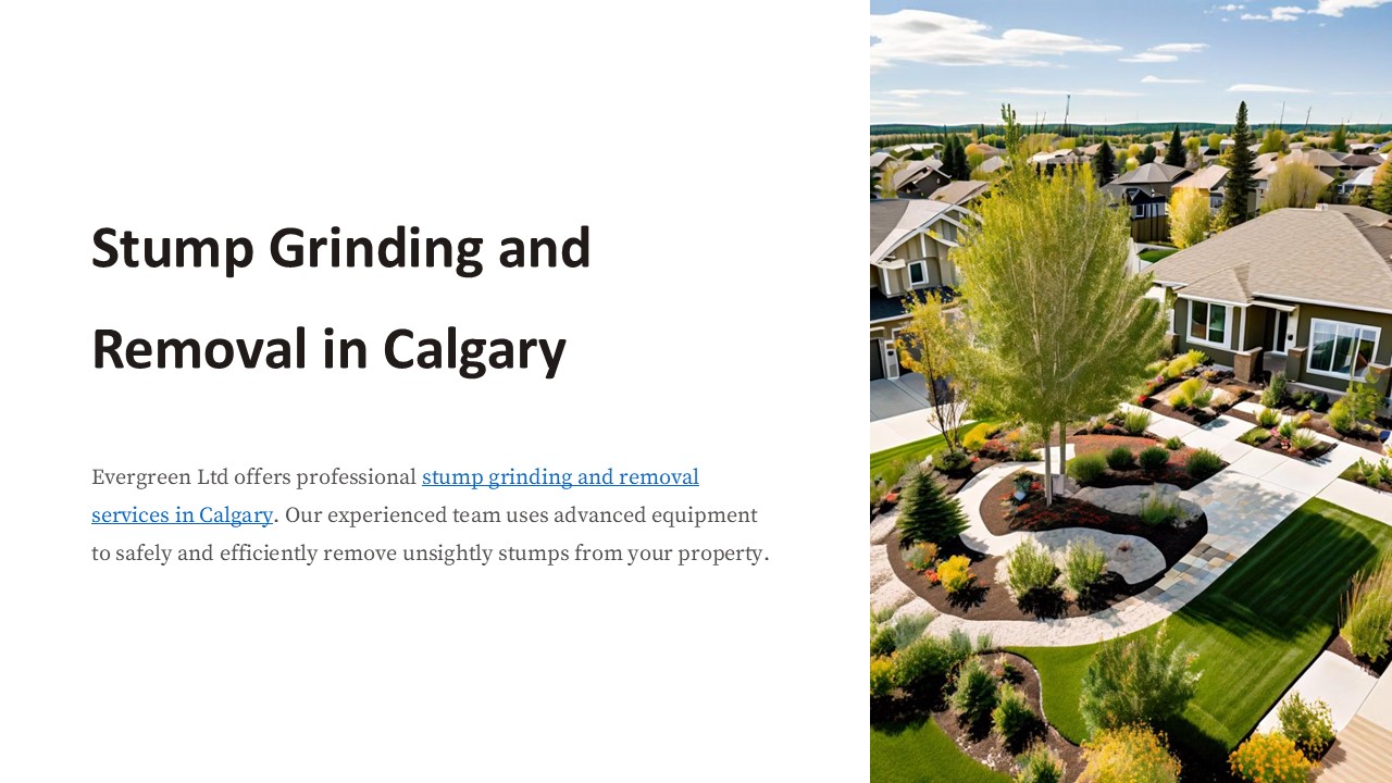 Stump Grinding Calgary - Evergreen Ltd