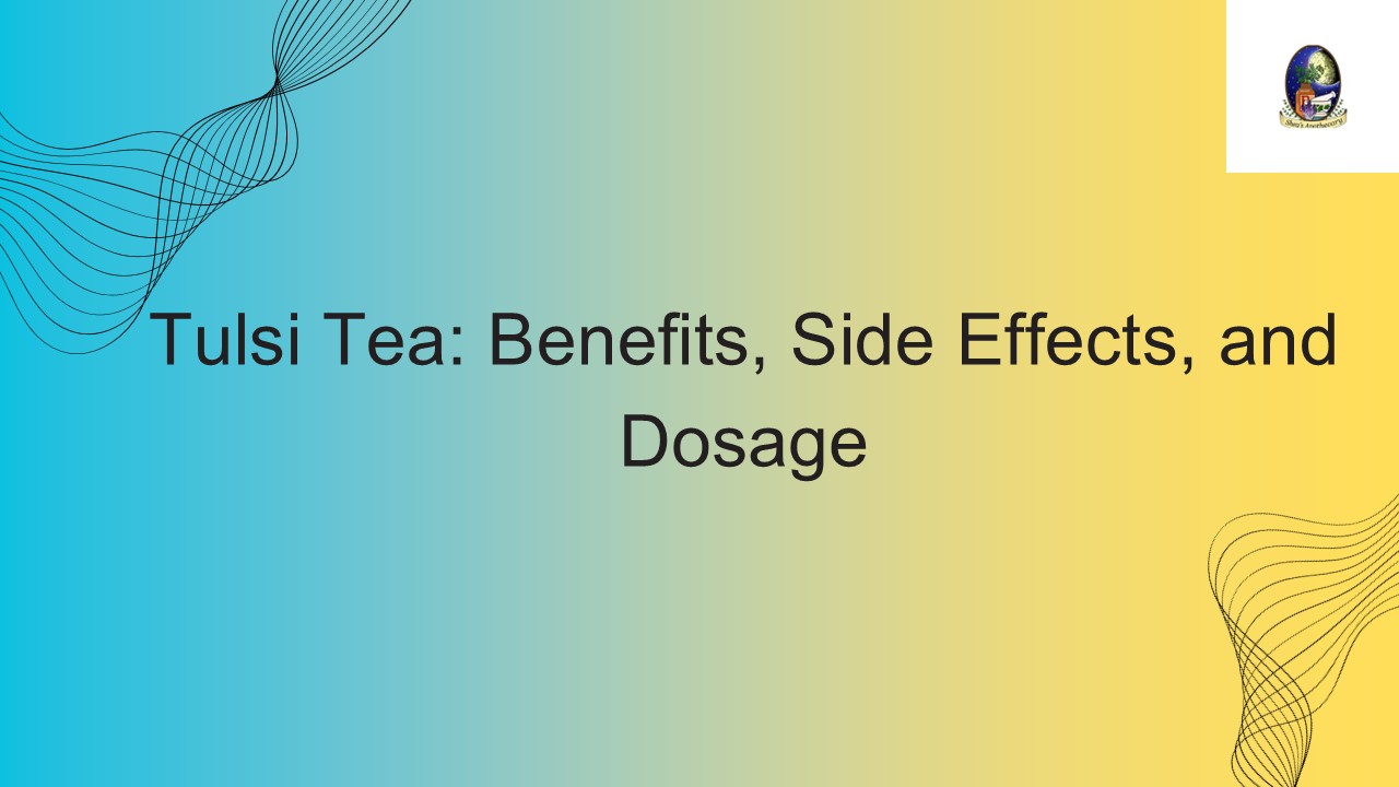 Tulsi Tea Benefits, Side Effects, and Dosage