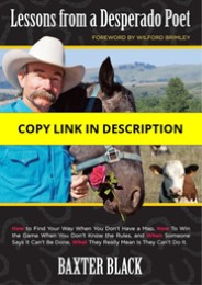 PDF Lessons from a Desperado Poet Ipad