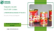 Tomato Paste Factory China