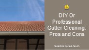 DIY Or Professional Gutter Cleaning: Pros and Cons