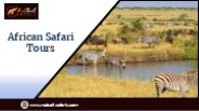 African Safari Tours