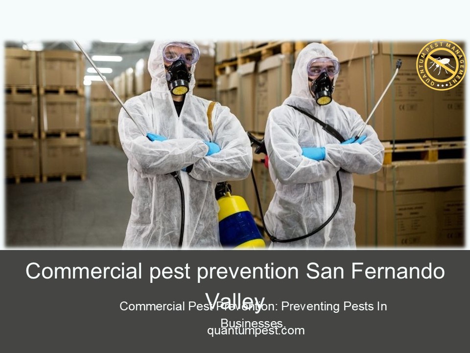 Commercial pest prevention San Fernando Valley