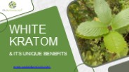 White Kratom and Its Unique Benefits