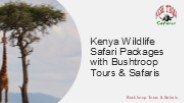 Kenya Wildlife Safari Packages with Bushtroop Tours & Safaris