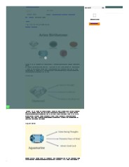 Some of the Best & Suitable Aries Birthstone (1)