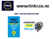 starter motor replacement cost in NZ