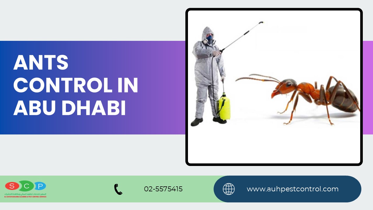 Ants Control in Abu Dhabi