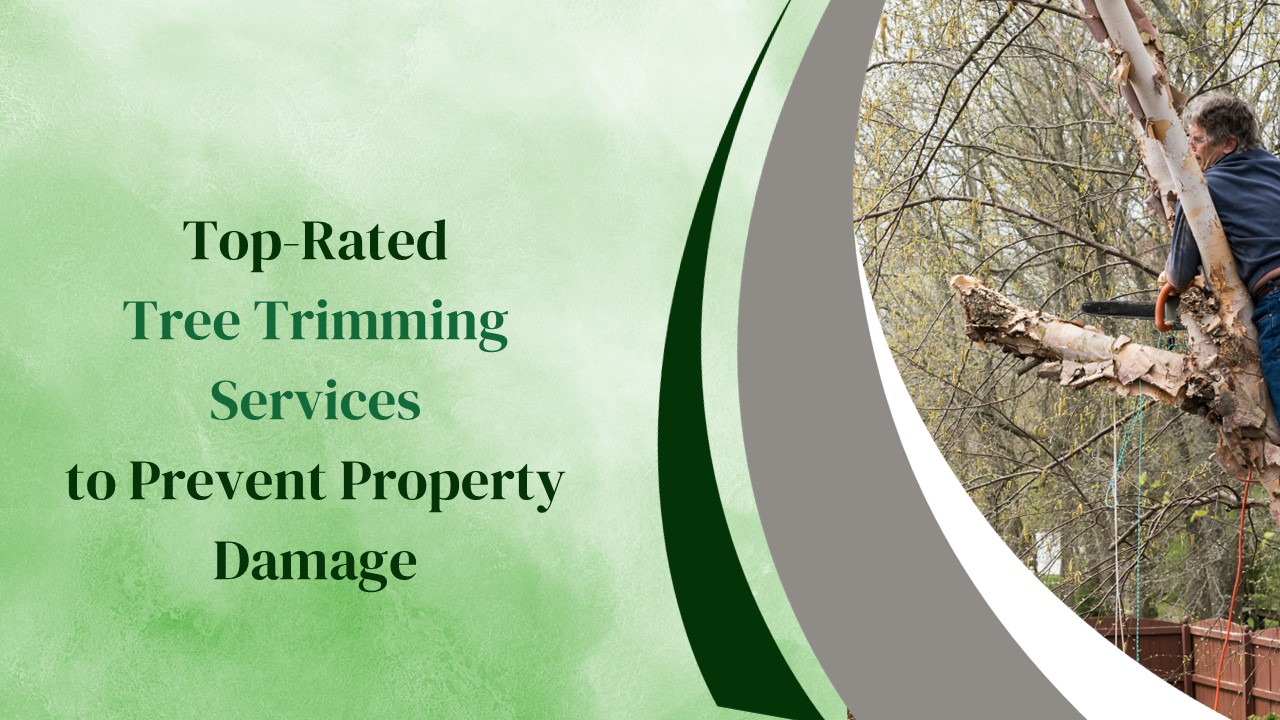Complete Tree Assessment and Removal Services presentation | free to ...