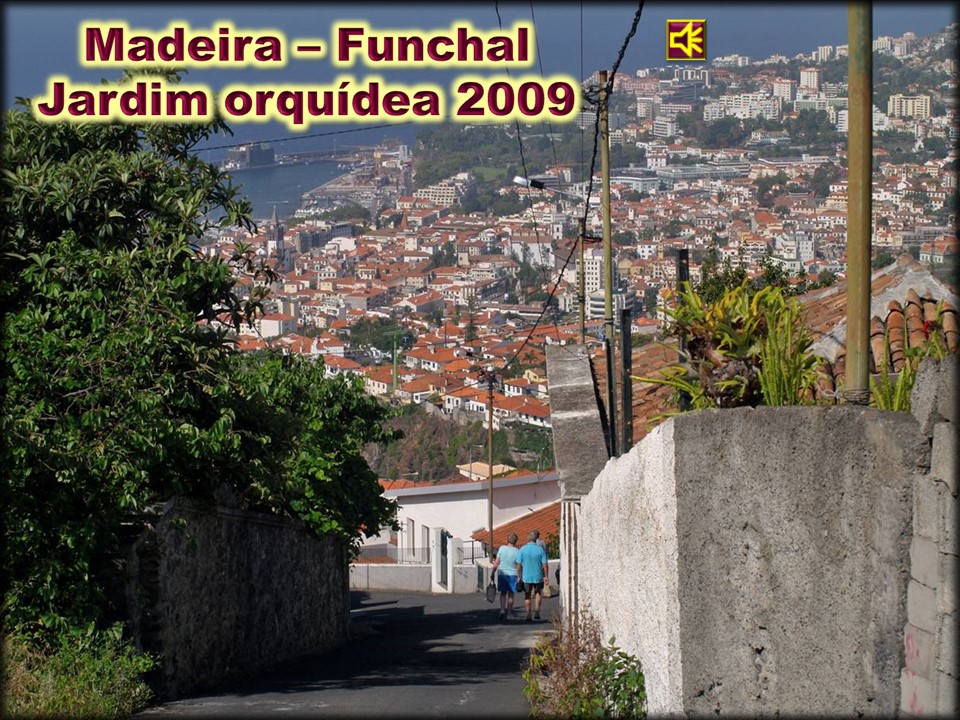 Madeira - Jardim orquidea 2009 (marcela.d)