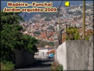 Madeira - Jardim orquidea 2009 (marcela.d)