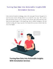 Turning Raw Data Into Actionable Insights With Annotation Services