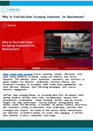 Importance of YouTube Data Scraping Services for Businesses