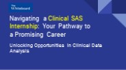 Navigating a Clinical SAS Internship: Your Pathway to a Promising Career