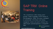 SAP Treasury and Risk Management (TRM) Online Training course