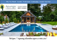 Why You Should Consider Professional Landscaping Around Your Pool