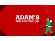 Looking For Professional Pest Control in Rochester MN