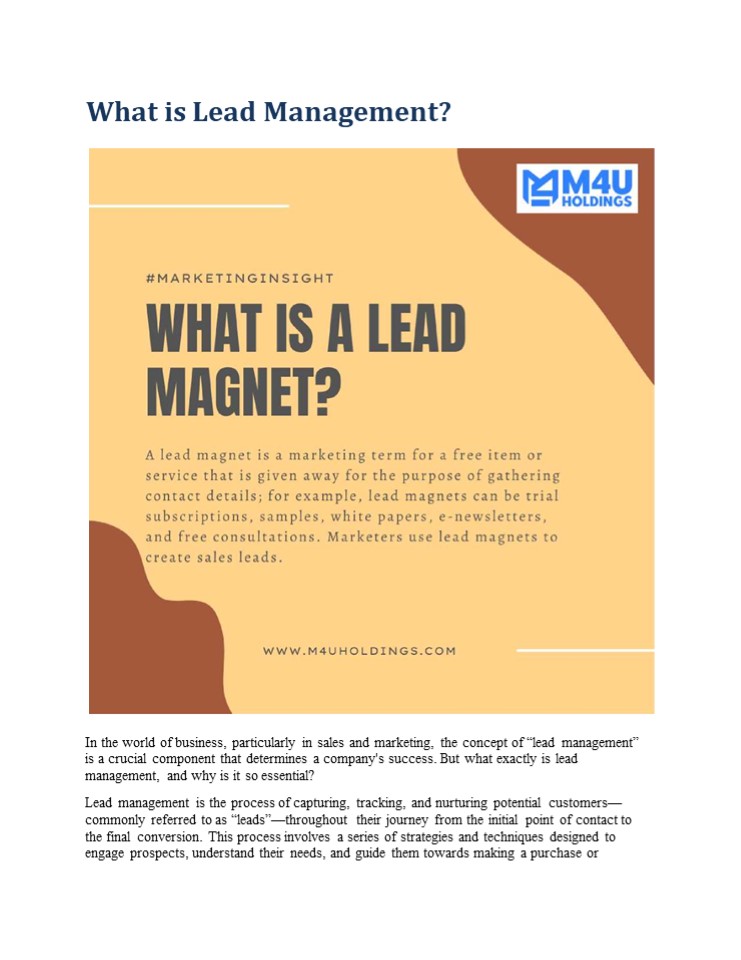 What is Lead Management?