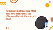 bObsweep robot