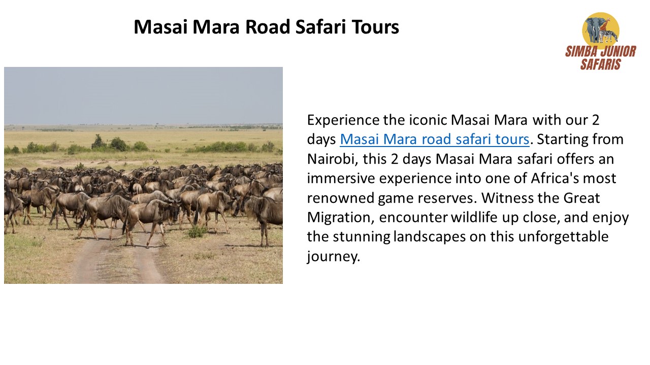 Masai mara road safari tours (1)
