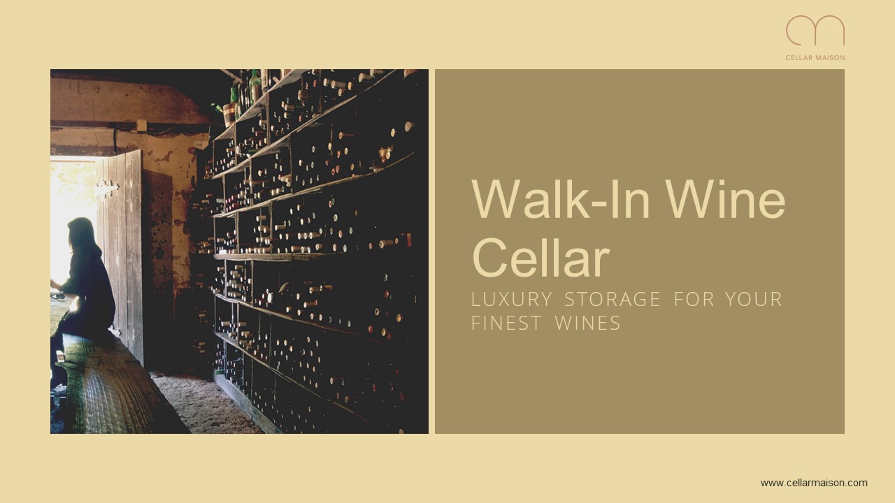 Walk-in Wine Cellar - Perfect Blend of Luxury, Function, & Design