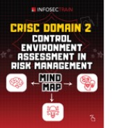 CRISC Domain 2 Control Environment Assessment in Risk Management