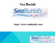 Sea Burials Miami & Fort Lauderdale, seaburials.com