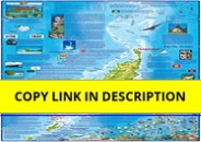 ebook⚡download Palau Adventure & Dive Guide Laminated Map Poster