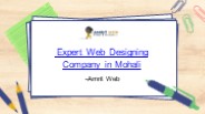 Expert Web Designing Company in Mohali amrit web