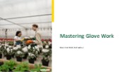 Mastering Glove Work