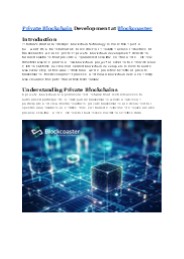 Private Blockchain Development at Blockcoaster