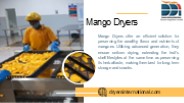 Mango Dryers (1)