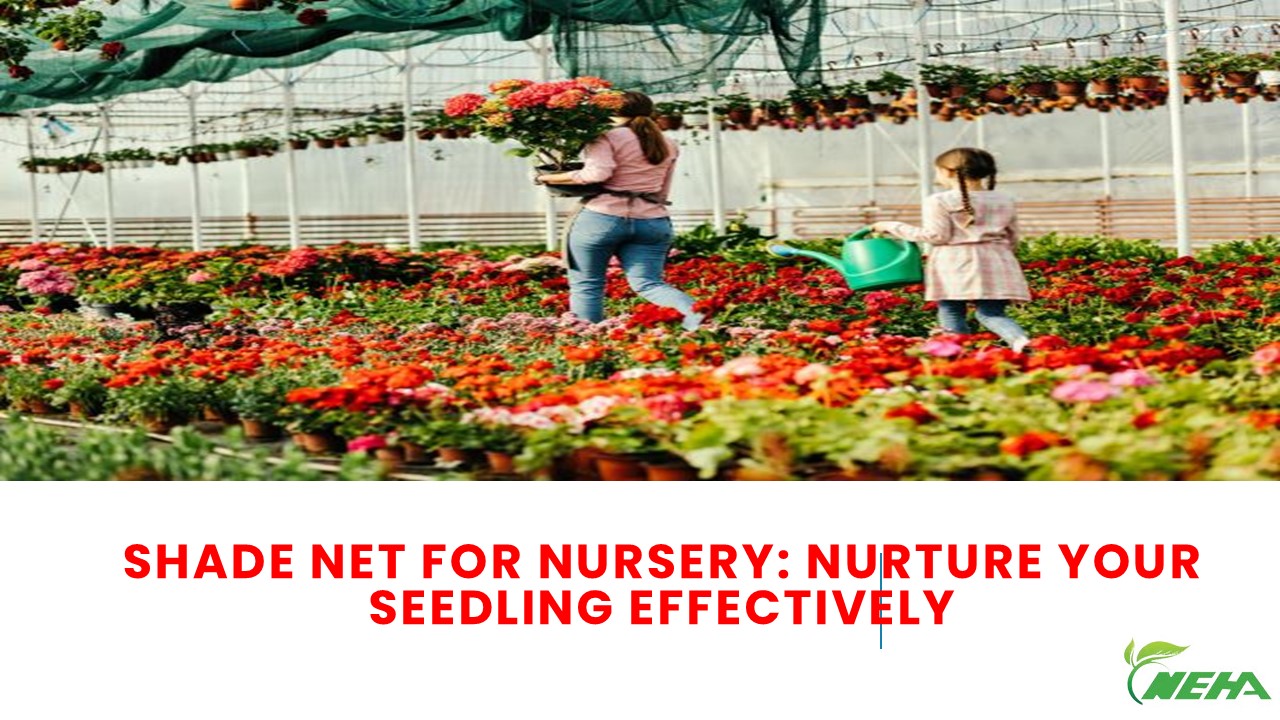 Shade Net For Nursery: Nurture Your Seedling Effectively