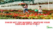 Shade Net For Nursery: Nurture Your Seedling Effectively