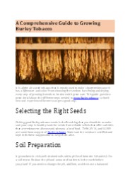 A Comprehensive Guide to Growing Burley Tobacco